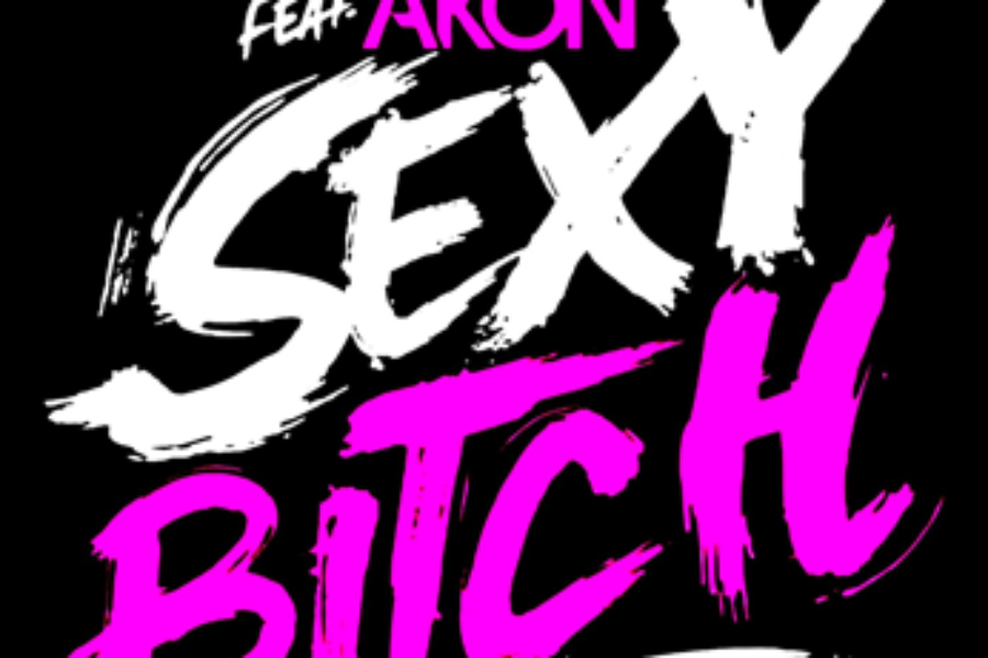 David Guetta feat Akon<br><span>Sexy Bitch</span>