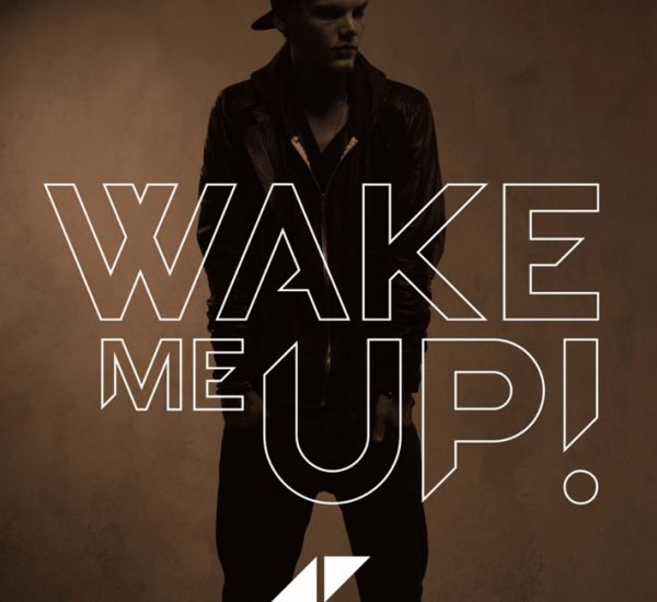 Avicii <br><span>Wake Me Up (Stem Editing)</span>