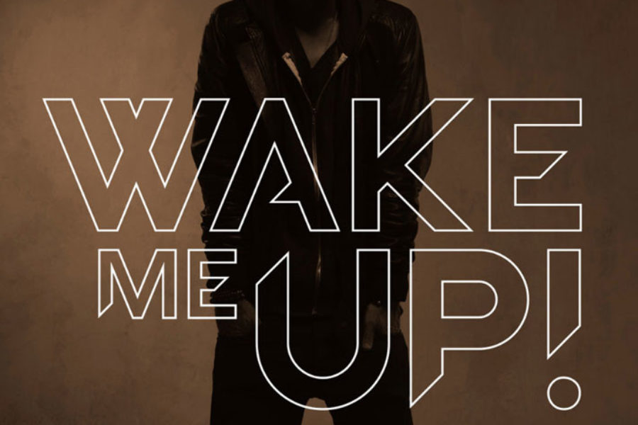 Avicii <br><span>Wake Me Up (Stem Editing)</span>
